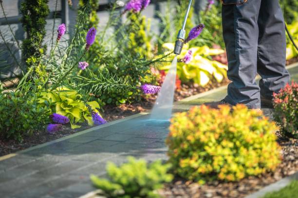 Best Animal Enclosure Cleaning  in Taft, TX