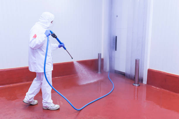 Best House Exterior Washing  in Taft, TX